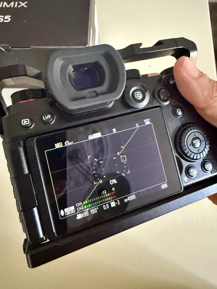 Panasonic Lumix S5, photo 3 of 5