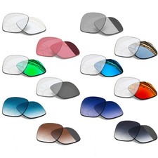 Transition Replacement Lenses for Ray-Ban Meta Wayfarer RW4006 RW4012 50mm Smart