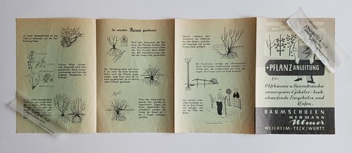 Pflanzanleitung Obstbäume Rosen Baumschulen Herrmann Ulmer Weilheim Werbung alt - 第 3/4 張圖片