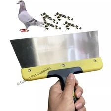 Steel Droppings Scraper Clean Pigeon loft Tool Pigeon Home Nest Cleaning Scraper