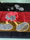 Foto 10 di 10