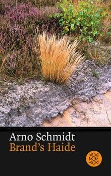Brands Haide von Schmidt, Arno | Buch | Zustand sehr gut
