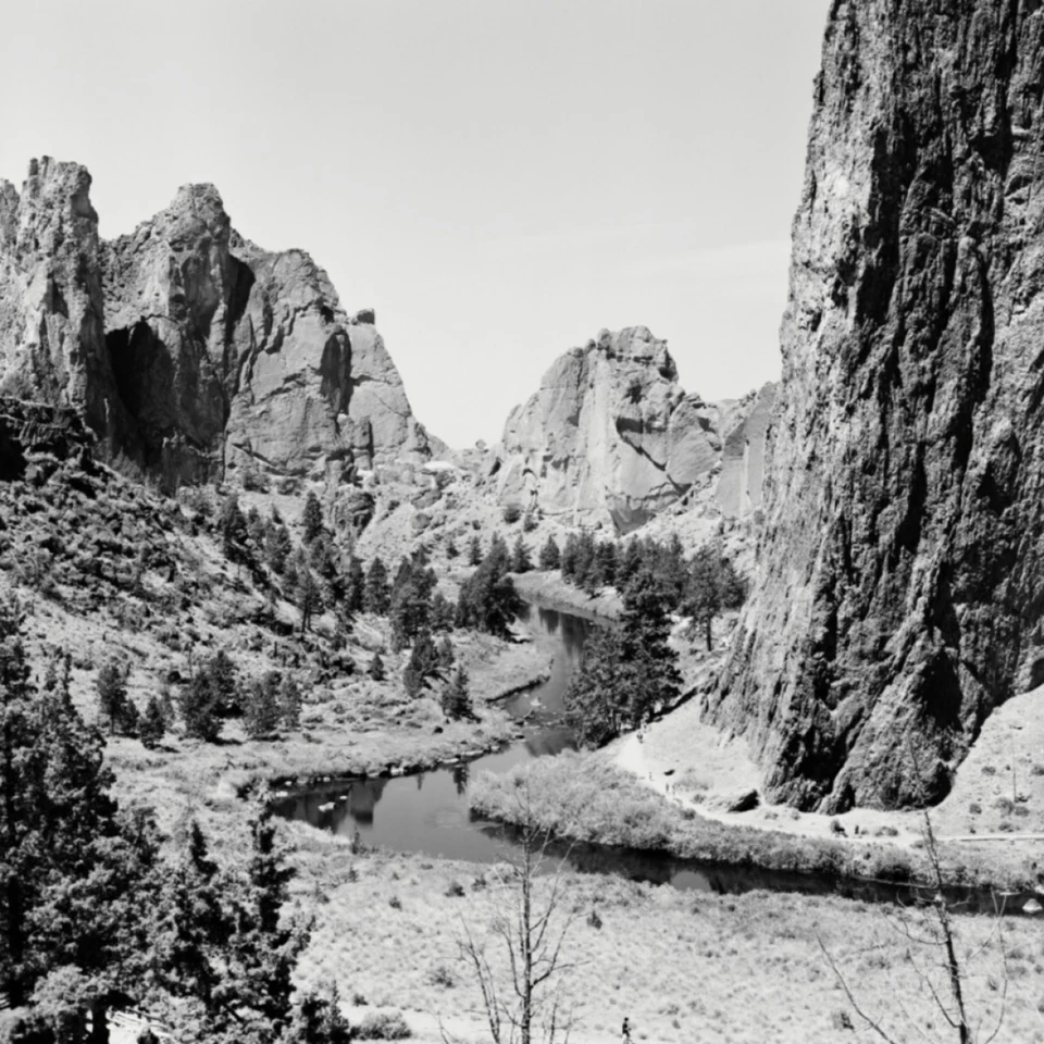 Película en blanco y negro Rollei RPX 25 120 * RECIÉN FECHADA * Foto 3 de 4