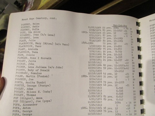 Summit County Ohio Cemetery Records Genealogy Book Akron Mount Hope Bath Copley - Picture 10 of 13