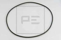 10X 029.025-00A O Ring 255 X 5 Passend FüR Iveco, Man, MERCEDES-BENZ