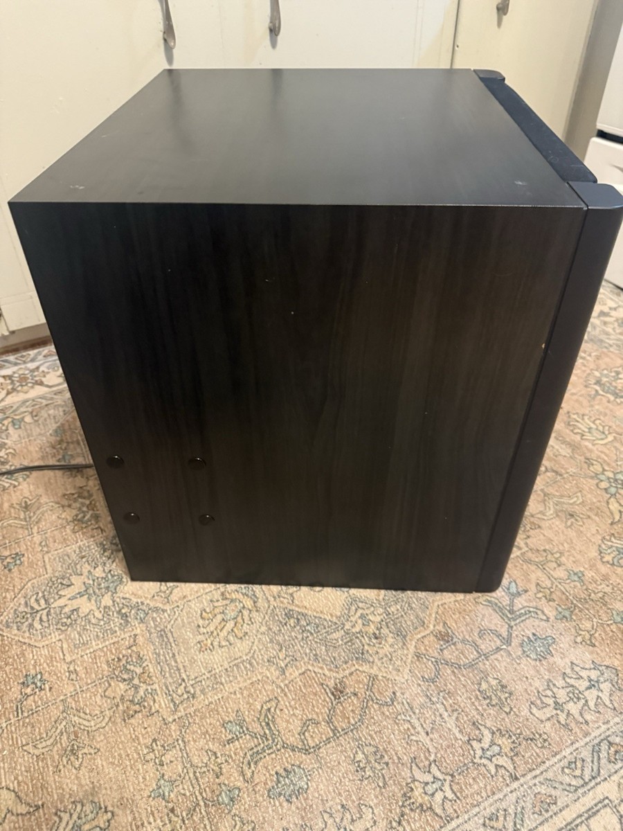 Vintage SONY Power Active Super Woofer SEN-R5520 Speaker Tested