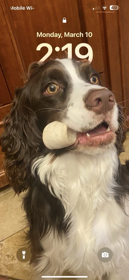 5PK Oregon Heavy Duty Blade for 52" Gravely Pro-Turn 152 - 991129, 00450300 - Image 4 of 4