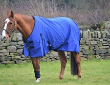 OFFERTA! CLEARANCE Telo Antipioggia Leggero 0g Riempimento Cavallo Pony Impermeabile Tappeto Affluenza