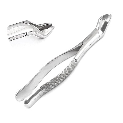 GERMAN EXTRACTING FORCEPS # 10S DENTAL SURGICAL INSTRUMENTS EXTRACTION FORCEPS