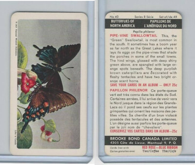 FC34-9 Brook Bond, Butterflies North America, 1965, #40 Pipe Vine