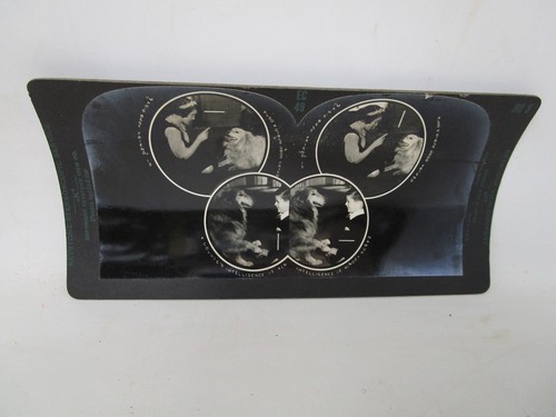 Keystone Eye Comfort and Depth Perception Series Stereoview Card Lot - Picture 12 of 13