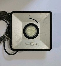Blue Point Flood Light Ecflood