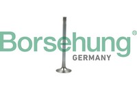 Borsehung Auslassventil B19007 FüR 6R1 BQ1 BV5 5G1 BE1 VW BE2 Golf BA5 7 Variant
