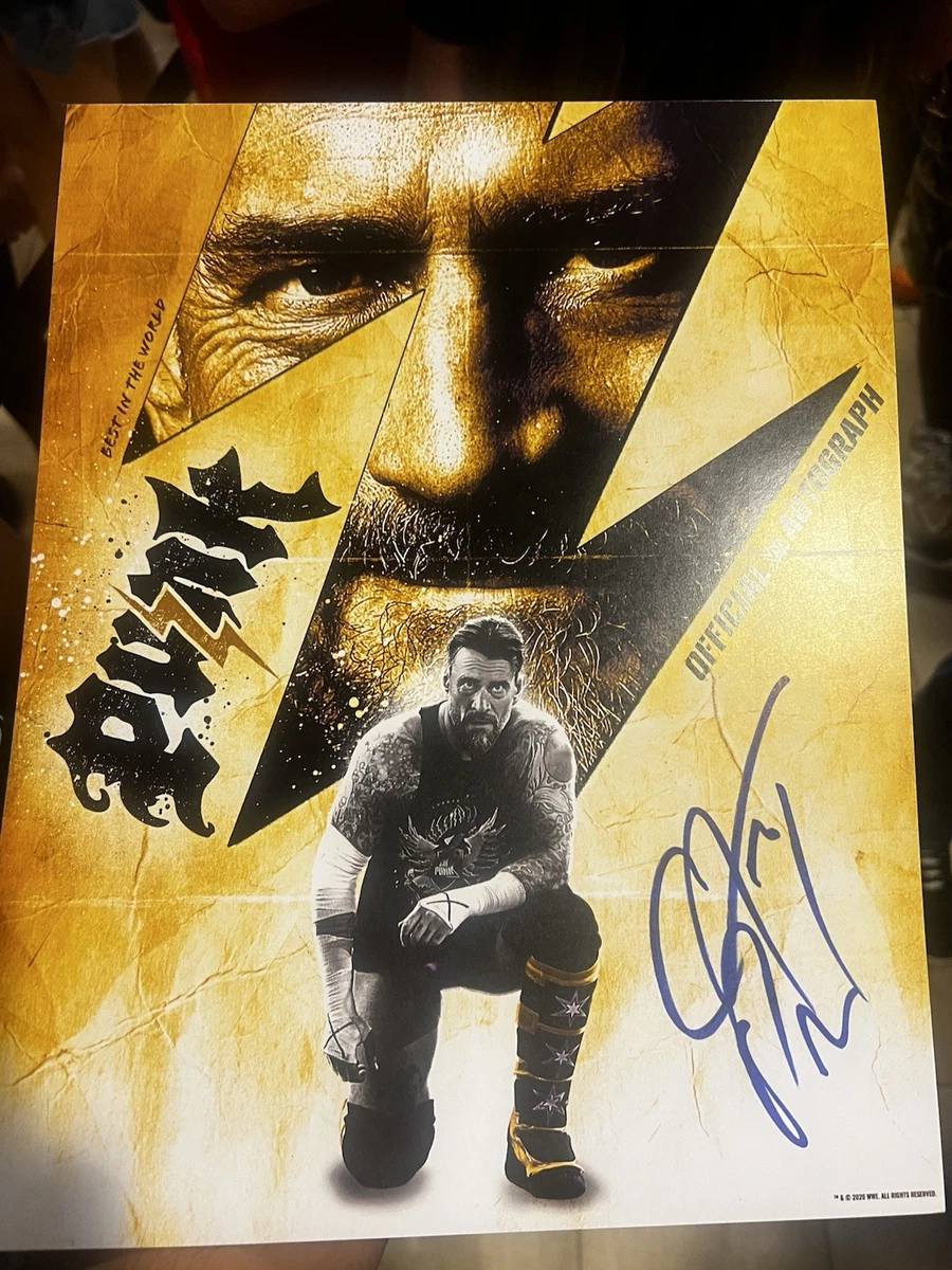 CM Punk WWE Wrestling Original Autographed Photos for sale | eBay