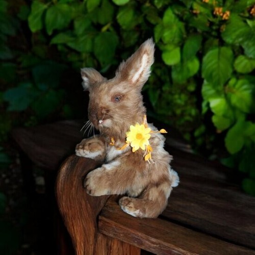 Rabbit, bunny, plush toy, collectible, handmade toy, artist made