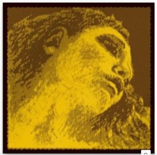 Pirastro Evah Pirazzi Gold 4/4 Violin E String Medium Gauge Ball-End