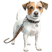 2 adesivi Jack Russell Terrier adesivi auto 9 x 9 cm cane JRT cucciolo set