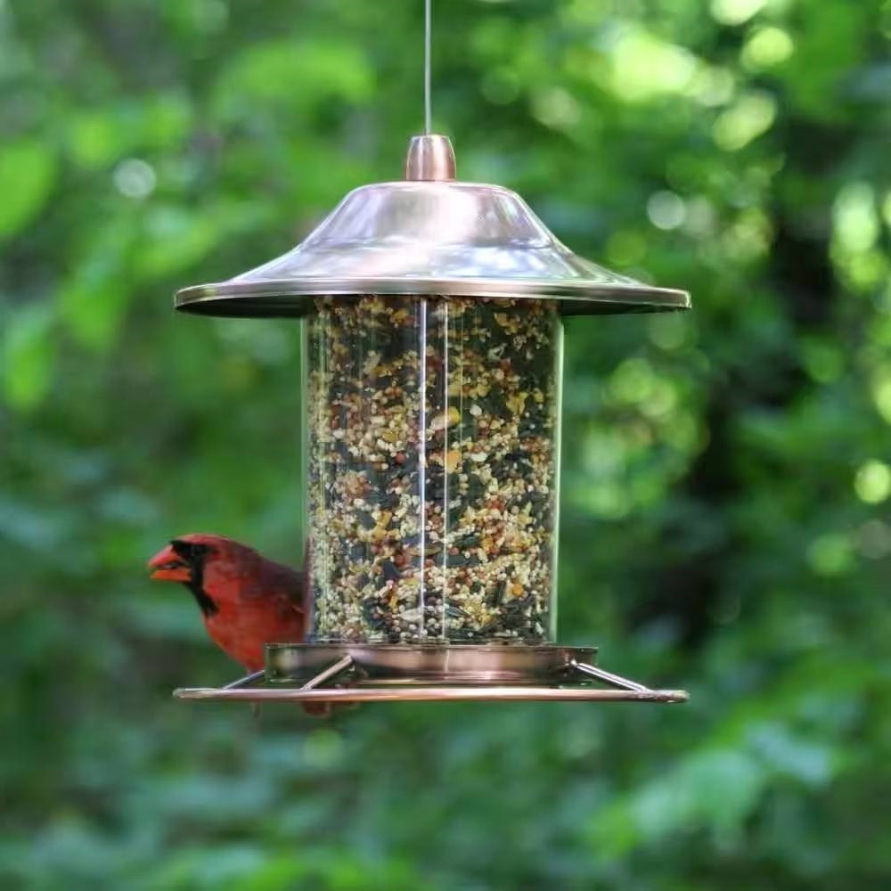 With Plastic Seed Reservoir Tube And Circular Perch