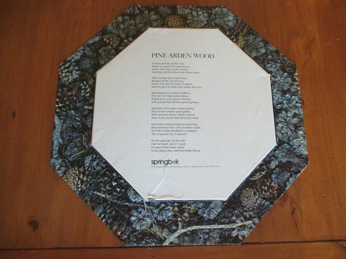 Vintage 1973 Springbock Puzzle "Pine Arden Wood" von David Muench ~ vollständig (35) - Bild 4 von 5