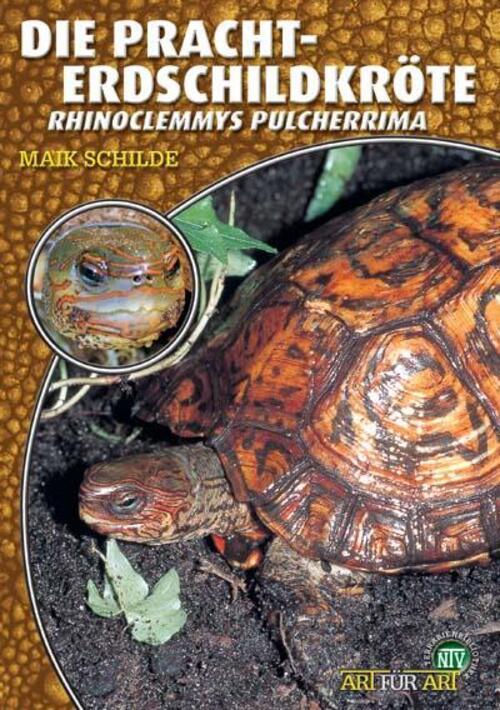 Thumbnail - Die Pracht-erdschildkröte Rhinoclemmys Pulcherrima Maik Schilde