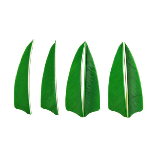 50pcs 3" Archery Arrow Feather Natural Turkey Fletches Fletching Right Left Wing - Picture 9 of 19