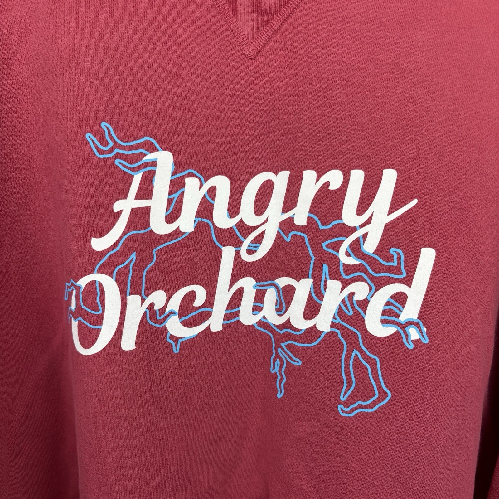 Champion “Angry Orchard” Pink Graphic Unisex Sweatshirt Size XL Lightning Print image 2