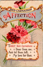 Pre-Linen christmas RED CARNATION AFFECTION - BEAUTIFUL CARNATION FLOWERS BK0339
