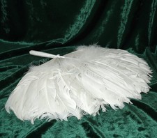 1910s Edwardian Orientalism Feather Hand Fan