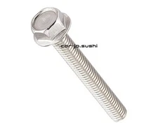KITACO Flanged Hexagonal Bolt Stainless Steel M6 x 45/P1.0 Pack of 2