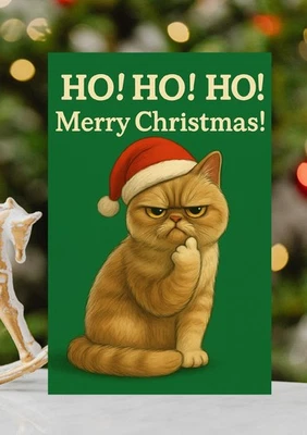 FUDGING GOOD PRINTS Rude Ho Ho Ho Cat Christmas Funny Christmas Card - Grumpy Cat Festive Xmas Card