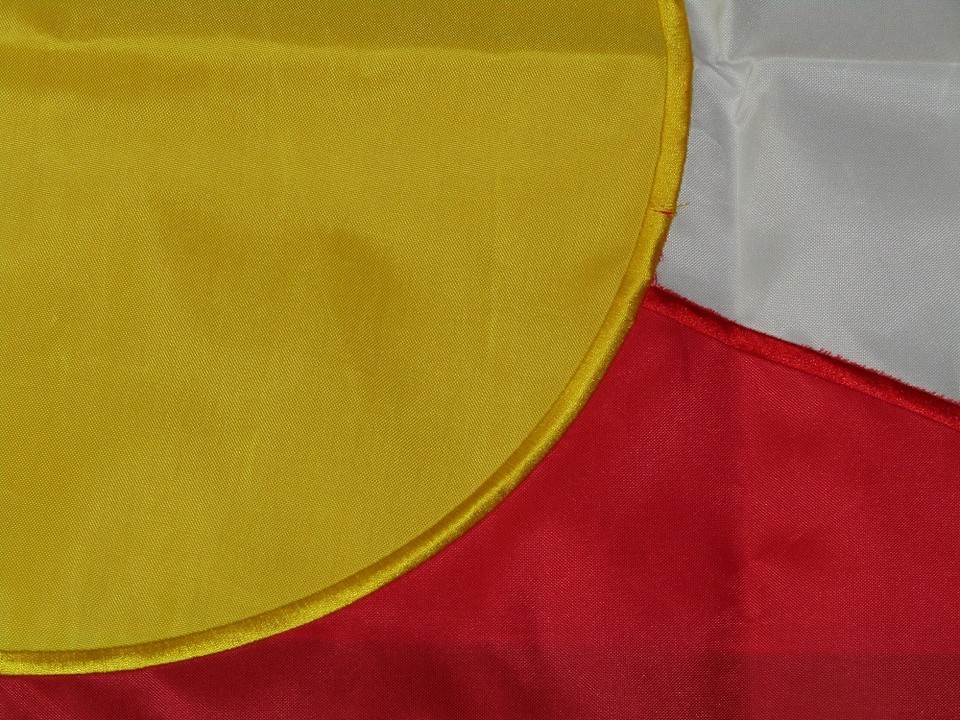 2x3 Colorado Stato Nylon Bandiera 2'x3'Banner Tenuta Sbiadito Resistente - Foto 10