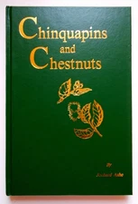 Chinquapins and chestnuts