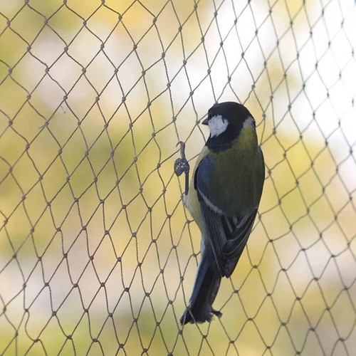 Anti Bird Netting 2m 3m 4m 5m 10m Net Fruit Pond Garden Bird Flu Protection - Picture 2 of 7