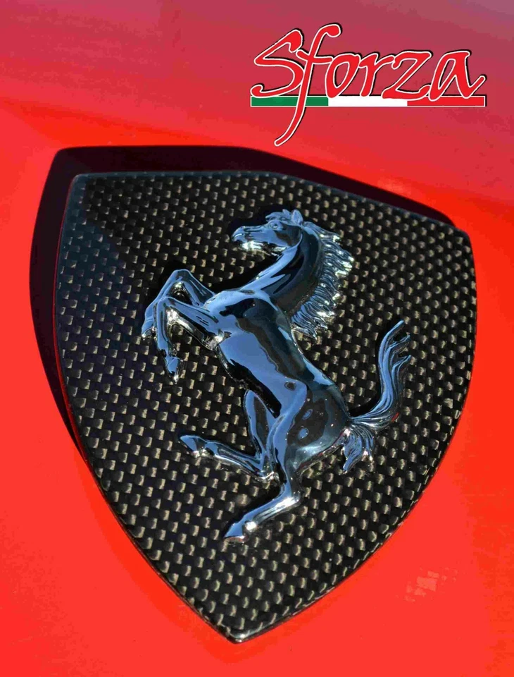 Escudos guardabarros delanteros de fibra de carbono Ferrari 458 Foto 3 de 4