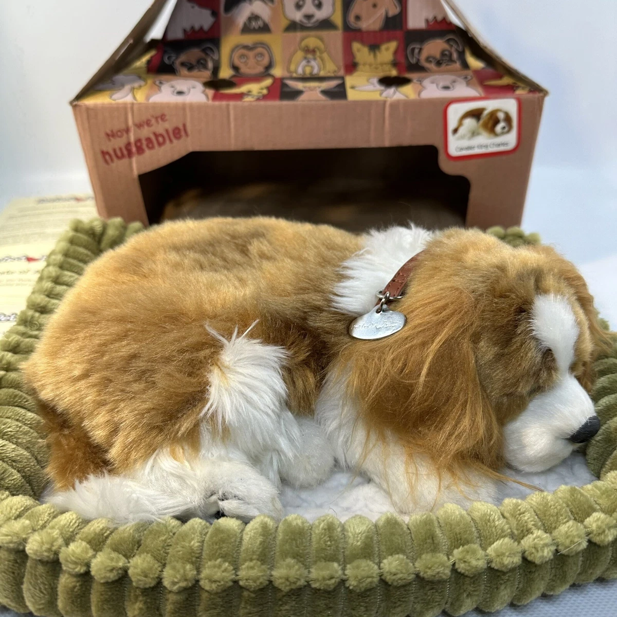 Perfect petzzz top king charles spaniel