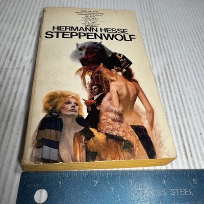 Steppenwolf Hermann Hesse Vintage Paperback Book 1969 2nd Printing Good Cond.