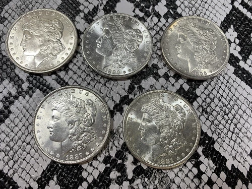 Lot of 5 BU Morgan Silver Dollars 1878-1904 Lot B