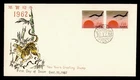 DR WHO 1961 RYUKYU JAPAN FDC NEW YEAR TIGER M77697