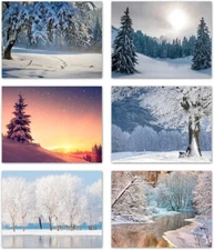Enchanted Winter Wonderland Cards-Blank Inside-5.5"x4.25"-12 or 24 Packs
