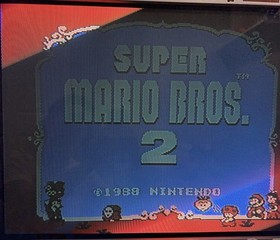 Super Mario Bros. 2 (Nintendo Entertainment System, 1985) Authentic Cartridge