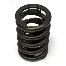 Renegade Valve Spring Set 99505-16; Single, 115 lbs at 1.800 in., 1.460 in. OD