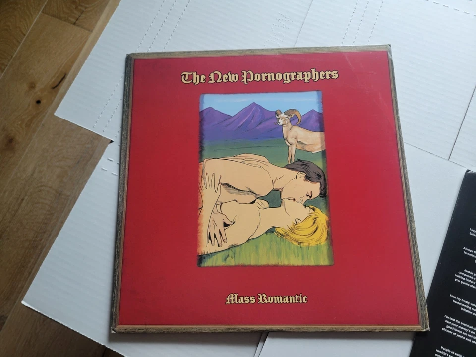 THE NEW PORNOGRAPHERS - Mass Romantic (LP) INNER SLEEVE Neko Case VG+/EX - Image 2 of 4