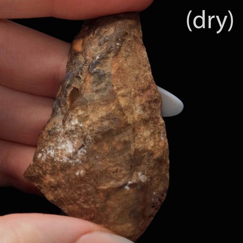 227.85ct Boulder Opal Specimen, Natural Solid Australian Boulder Opal Rough - Picture 5 of 5