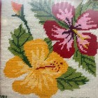 Picture 4 of 9