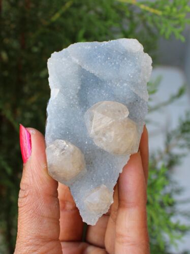 Apophyllite Crystals On Blue Matrix Minerals Specimen #M46 - Picture 2 of 4