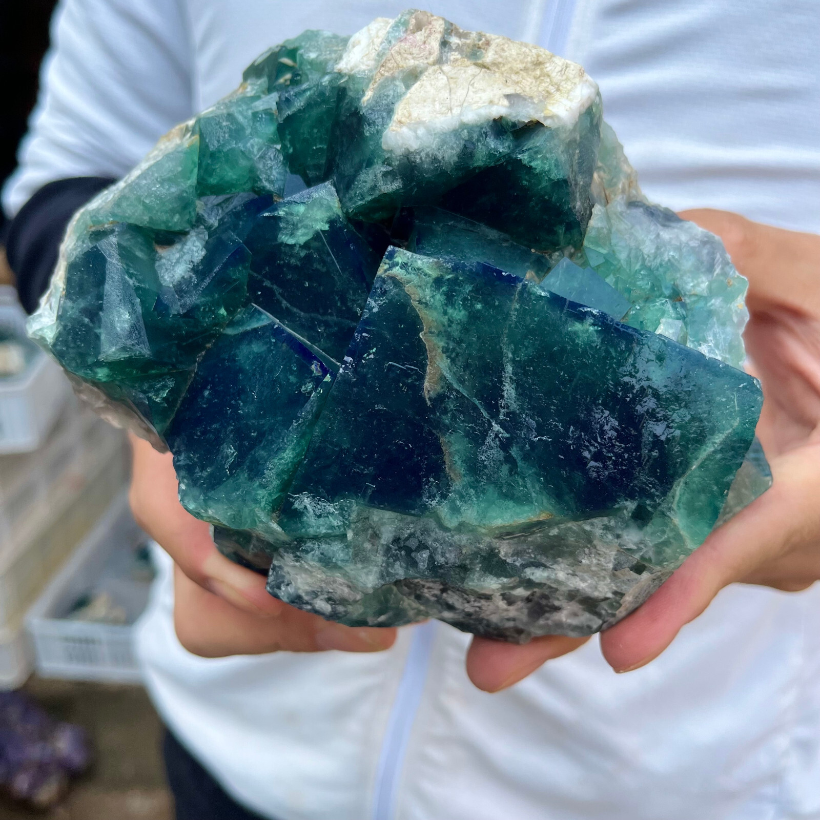 3.8LB Natural Green Fluorite Cube Quartz Crystal Cluster Mineral Specimen