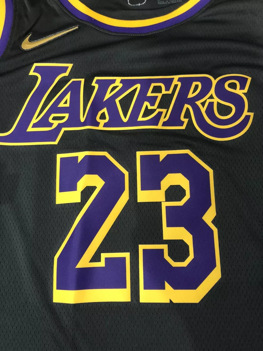 M - BNWT - Lebron James Los Angeles Lakers Earned Edition NBA