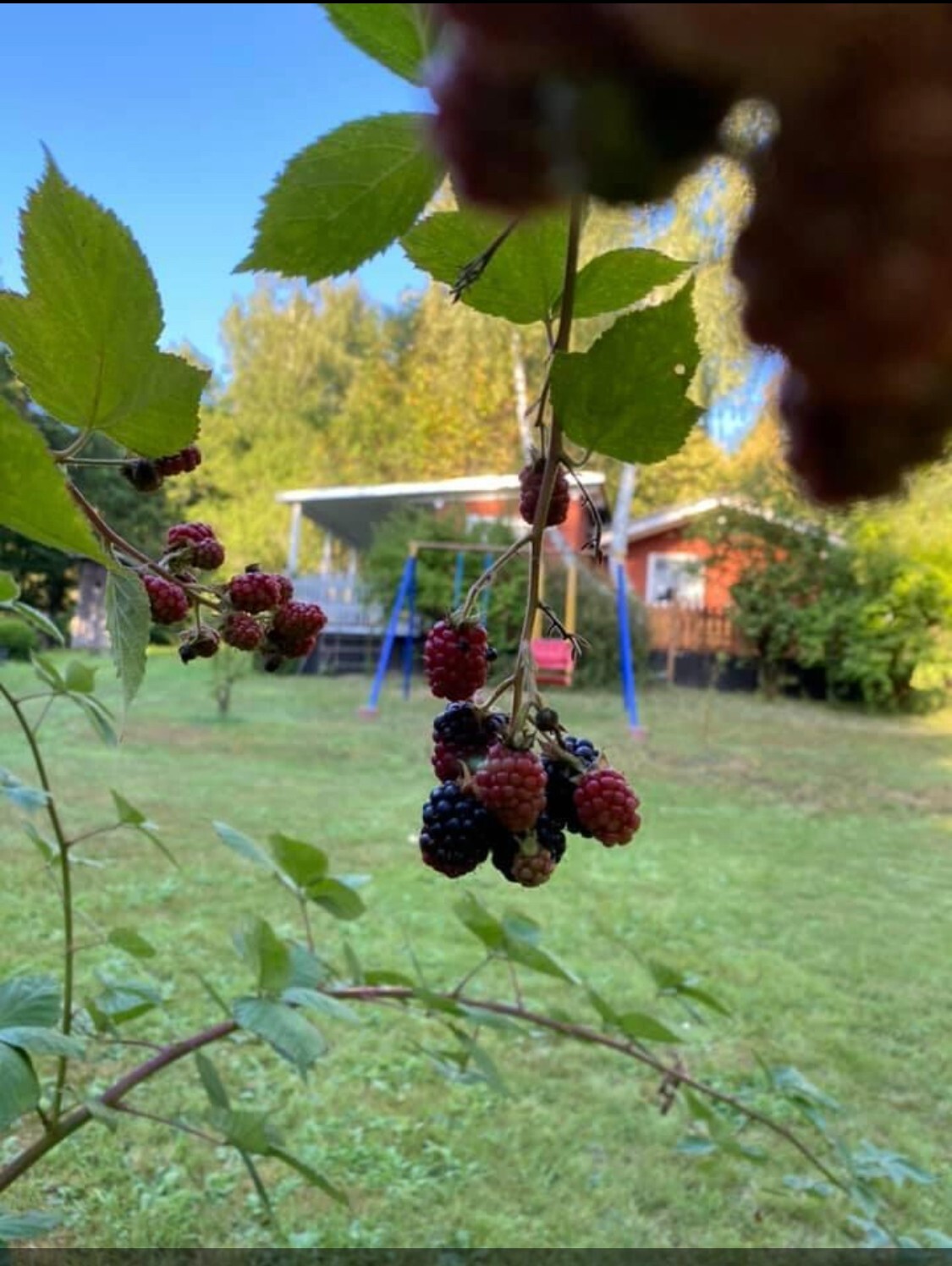 Bild 2 von 19