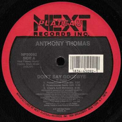 Anthony Thomas - Don't Say Goodbye 12'' Vinyl Schallplatte 130308
