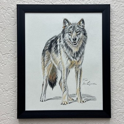 Original Wolf Drawing 10 x 8'' Colored Pencil Framed Siberian Wolf Illustration
